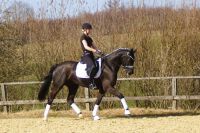 fiorello_gal_dsc01735