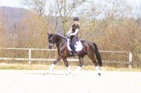 fiorello_gal_dsc02099