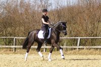 fiorello_gal_dsc02172