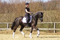 fiorello_gal_dsc02182