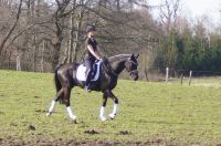 fiorello_gal_dsc02431