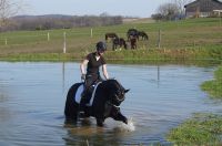 fiorello_gal_dsc02551